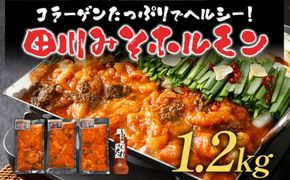 田川みそホルモン 1.2kg 400g×3パック 味噌だれ500ml×1本 しま腸 ハチノス センマイ 焼肉 コラーゲン 旨辛 コチュジャン タレ漬け 味付け 鉄板焼き 野菜炒め BBQ お取り寄せグルメ お取り寄せ 福岡 お土産 九州 ご当地グルメ 取り寄せ グルメ 福岡県 食品