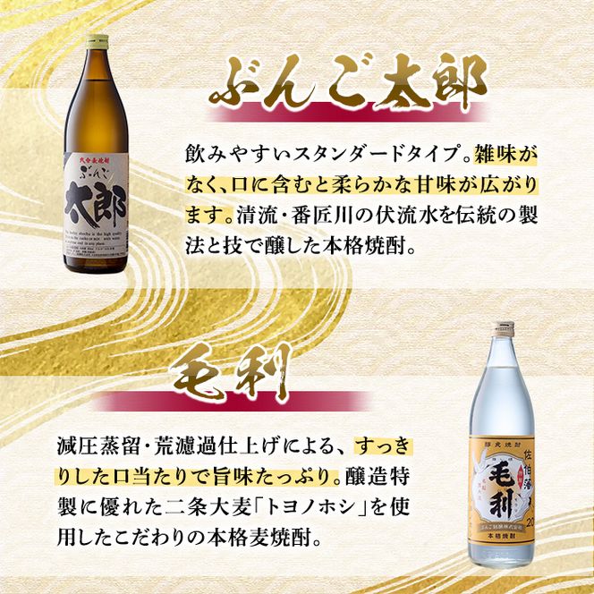 ＜定期便・全6回 (連続)＞大分麦焼酎飲み比べセット (900ml×4本×6回) 大分県産 国産 毛利 ぶんご太郎 さいき小町 むぎゅ ご当地 お取り寄せ 焼酎 麦 ハイボール 糖質ゼロ 20度 セット 4本 大分県 佐伯市【AN107】【ぶんご銘醸 (株)】