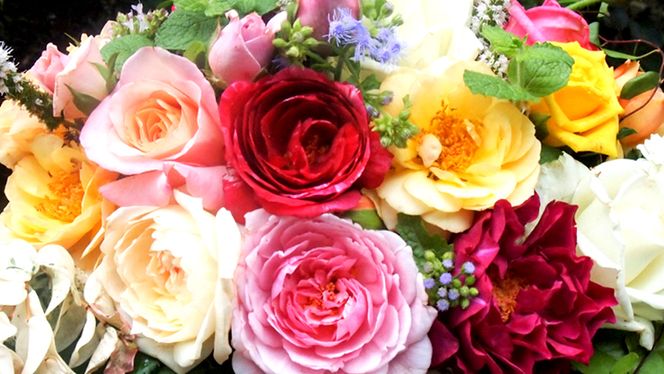 バラとハーブのプチアレンジメント（バラとハーブ）[BN005ci]