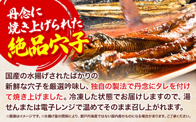 焼き穴子 約500g 笠岡魚市場《45日以内に出荷予定(土日祝除く)》岡山県 笠岡市 穴子 海鮮 魚 お魚---A-06---