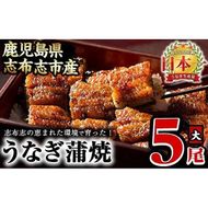 うなぎの大楠＜大＞5尾セット計750g(150g×5) c4-009