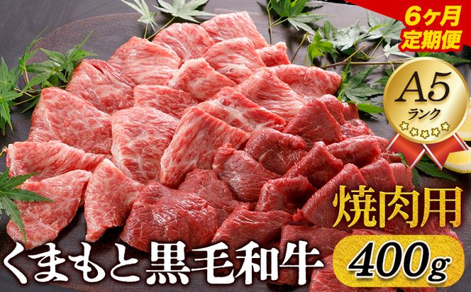 【6ヶ月定期便】【A5ランク】牛肉 くまもと黒毛和牛 焼肉用 400g 株式会社KAM Brewing《お申込み月の翌月から出荷開始》定期 計6回お届け 熊本県 大津町 送料無料 牛肉 肉 定期便---so_fkmkgyktei_23_129000_mo6num1---