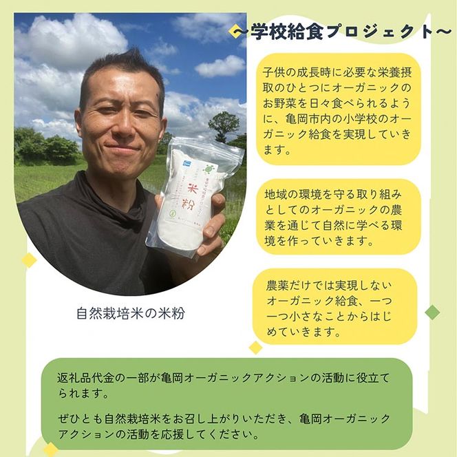 京都府・亀岡産 栽培期間中農薬不使用 亀岡学校給食プロジェクト 自然栽培米の米粉 10kg(500g×20) ※離島への発送不可