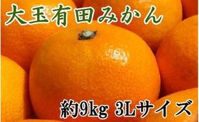 【食べごたえ十分】和歌山有田みかん大玉約9kg(3Lサイズ・秀品）★2024年11月中旬頃より順次発送     BZ086