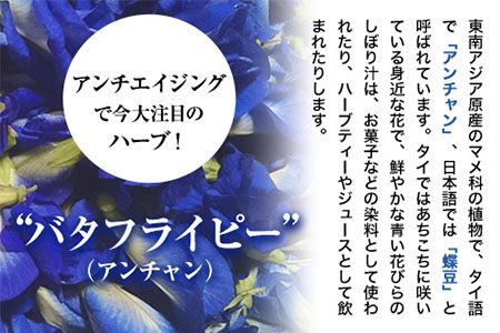 御船町 アンチャンティー 3袋(1袋5パック入り)《60日以内に出荷予定(土日祝除く)》福永幸山堂 アンチャンティー バタフライピー レモングラス 紅茶 お茶 青 青いお茶 3袋 15パック 送料無料---sm_att_60d_25_6500_3p---