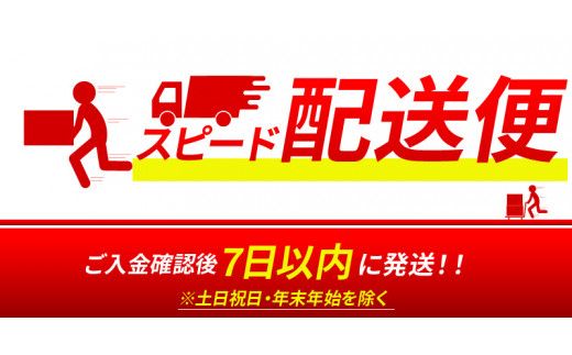 ＜【7日以内に発送！】令和7年産 木城町・毛呂山町 新しき村友情都市コラボ 日本酒 純米吟醸「城 ～不落の城」3本＞ K21_0028