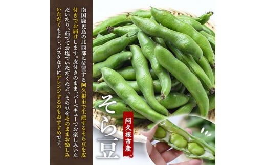 そら豆 1.8Kg - 野菜