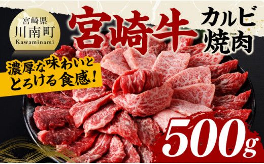宮崎牛 カルビ焼肉 500g [ 肉 牛肉 国産 宮崎県産 黒毛和牛 カルビ 焼肉 ][D11428]