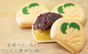 お葉つきいちょうぎんなん最中30個入り /// 最中 もなか モナカ 和菓子 最中 和菓子屋 和菓子 高級 大納言粒あん