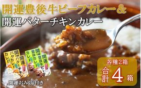 開運！豊後牛ビーフカレー2箱＆バターチキンカレー2箱（計4箱）_2424R