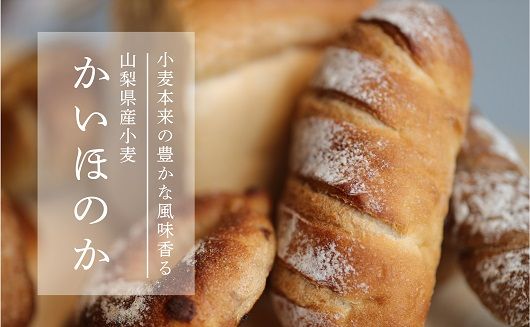 AG017　自家製酵母のパンセットⅠ（11種類14個、食パン5枚切り）