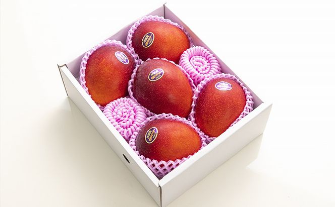 yꌧdzyϔzystE2026Nz_Jt@[̃}S[iGj2kg - s\ ꌧY Yn 썑t[c {̖o G߂̉ʕ 蕨 Mtg ꌧ d