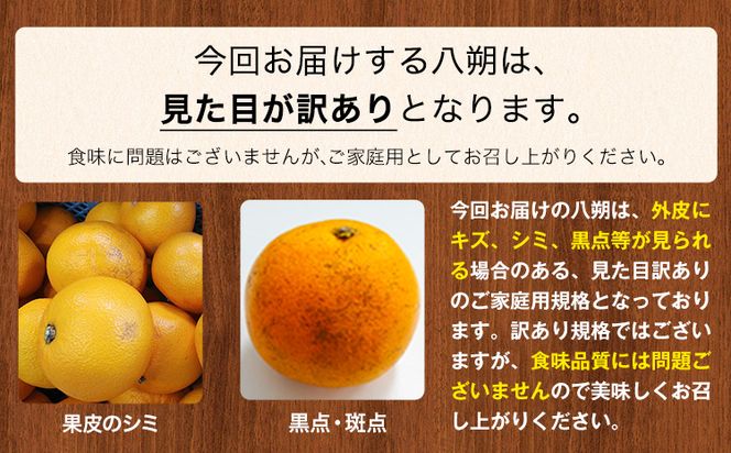 訳あり/ご家庭用】はっさく 八朔 4kg＋1kg 計約5kg サンファーム《1月