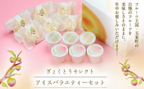 ぎょくとうセレクトアイスバラエティーセット  ぷらっとぎょくとう《60日以内に出荷予定（土日祝除く）》熊本県玉名郡玉東町 すもも ハニーローザ いちご アイス モナカ---sg_fgkticevari_60d_26_19000---