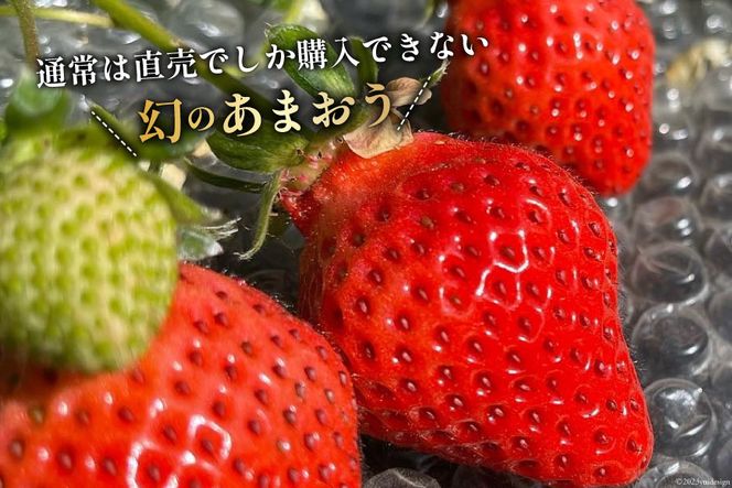 【期間限定発送】いちご 津田くん農園のあまおう 約1kg [くしだ企画 福岡県 筑紫野市 21760719] 苺 あまおう イチゴ 福岡 期間限定