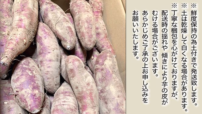 訳あり 無選別 八千代町産 シルクスイート 生芋 土付き 約 5kg さつまいも サツマイモ 芋 いも イモ ワケアリ 訳アリ 八千代町 ふるさと納税 5000円 【 先行予約 2025年10月下旬以降発送 】 [AX047ya]