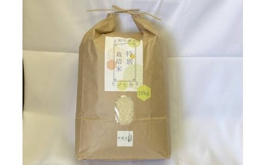 【令和7年度産】《新米》【11月下旬より順次発送予定】特別栽培米　奈良県広陵町産ヒノヒカリ　白米10kg// お米 ひのひかり お米 広陵町