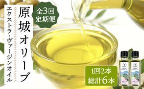 【3回定期便】原城オリーブ エクストラヴァージン オイル 100ml 2本 / 調味料 油 オリーブオイル オリーブ / 南島原市 / ミナサポ [SCW050]