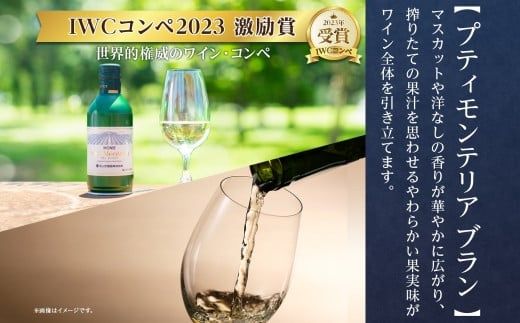 プティモンテリア ブラン 300ml 24本入 モンデ酒造 177-4-027