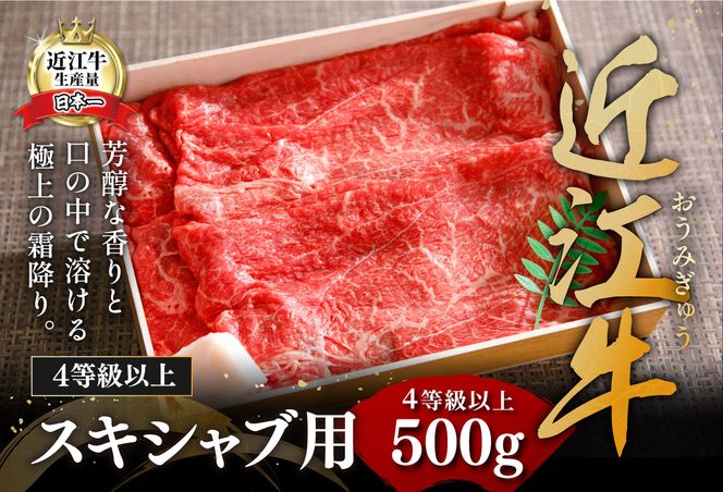 【4等級以上】近江牛スキシャブ用【500g】折箱入り【H002U】