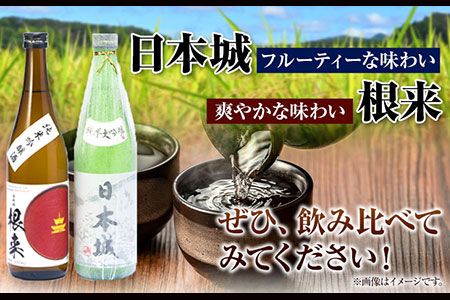 日本城 純米大吟醸酒 純米吟醸酒 根来 飲み比べセット 720ml×2本セット 厳選館《90日以内に出荷予定(土日祝除く)》 和歌山県 日高川町 酒 純米吟醸 飲み比べ 1440ml 純米大吟醸酒 純米吟醸酒---wshg_genngjk_90d_22_14000_2p---