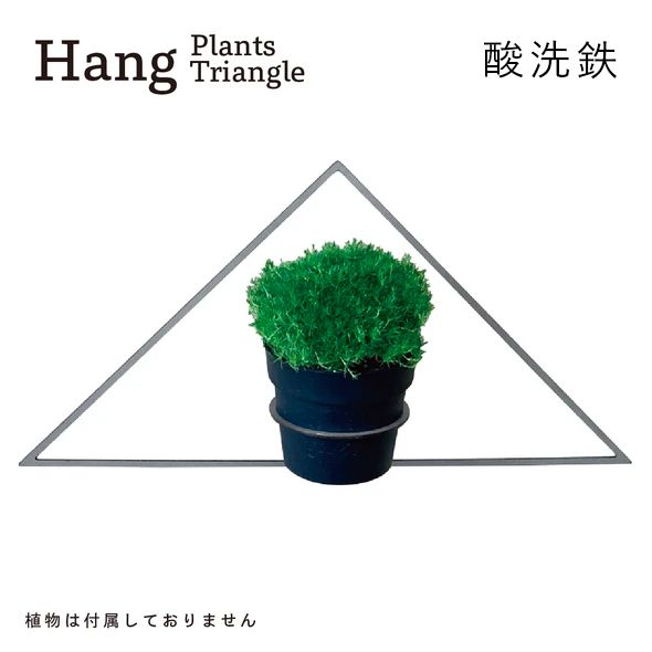 GRAVIRoN Hang Plants シリーズ Triangle 酸洗鉄（プランツハンガー）