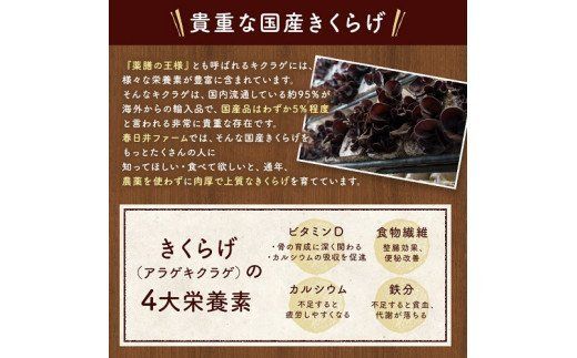 春日井産　乾燥きくらげ2種セット10袋（ホール・スライス）