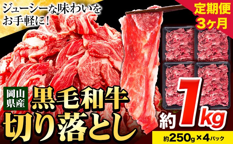 牛肉 肉 黒毛和牛 切り落とし 訳あり 大容量 小分け[定期便] 1kg 1パック 250g 3回 [お申込月の翌月より発送]岡山県産 岡山県 笠岡市 お肉 にく カレー 牛丼 切り落し 切落し---kasaoka_zsy_7_1_3tei---