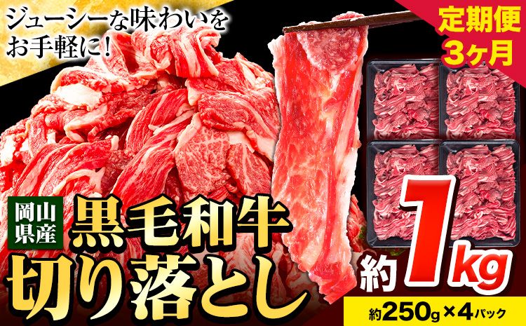 牛肉 肉 黒毛和牛 切り落とし 訳あり 大容量 小分け[定期便] 1kg 1パック 250g 3回 [お申込月の翌月より発送]岡山県産 岡山県 笠岡市 お肉 にく カレー 牛丼 切り落し 切落し---223_f739tei_23_30000_3kg---