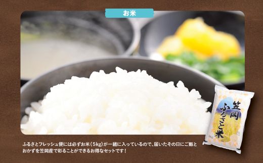 ふるさとフレッシュ便（旬野菜・ふるさと米）3か月定期便---E-05---