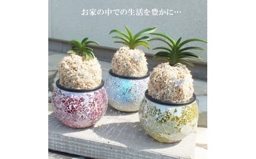 yRRszD087 y{̗zxM@@LLKX