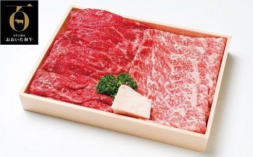 F-13 「おおいた和牛」モモ・ロースすき焼き肉（500g）＆豊後牛ハンバーグ（9個）贅沢セット