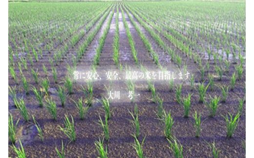 鹿嶋市の子どもたちが食べている特別栽培米コシヒカリ（5kg×2袋 計10kg）(KBS-2)