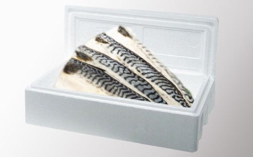 10枚セット 一汐さば おろし大根付き　B-931