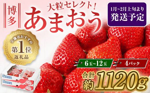 大粒セレクト！大人気のあまおう　福岡県産いちご　270g×4パック【2025年1月～2月上旬発送】_HA0274