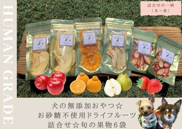 FB134_犬の無添加おやつ☆お砂糖不使用ドライフルーツ☆旬の果物６袋　/みやき町