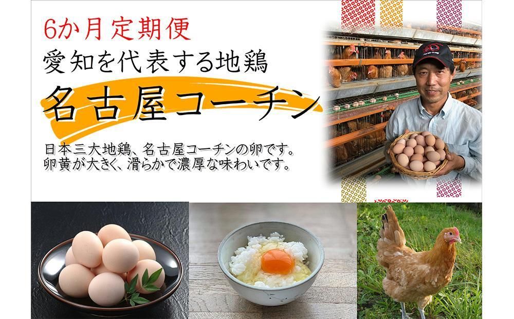 [6か月定期便]日本三大地鶏!! 「純系 名古屋コーチンの卵」(30個) 本当に美味しい食べ物は調味料の味に負けません! 232238_EE27-PR