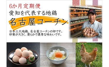 [6か月定期便]日本三大地鶏!! 「純系 名古屋コーチンの卵」(30個) 本当に美味しい食べ物は調味料の味に負けません! 232238_EE27-PR