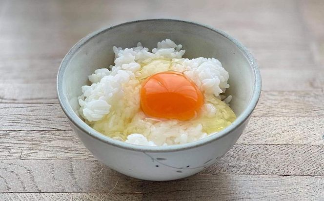 【6か月定期便】日本三大地鶏！！ 「純系　名古屋コーチンの卵」（30個） 本当に美味しい食べ物は調味料の味に負けません！ 232238_EE27-PR