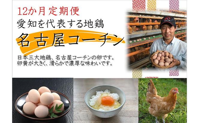 【12か月定期便】日本三大地鶏！！ 「純系　名古屋コーチンの卵」（30個） 本当に美味しい食べ物は調味料の味に負けません！ 232238_EE28-PR