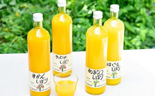 79.伊藤農園 5種みかんジュース大瓶（750ml）9本セット(A79-2)