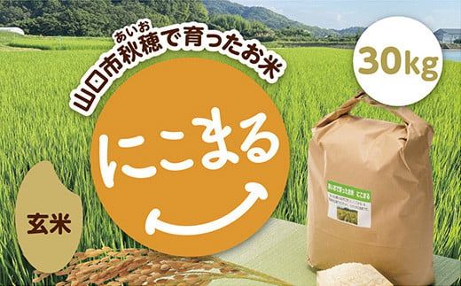 B045 あいお（秋穂）で育ったお米　にこまる　玄米30kg