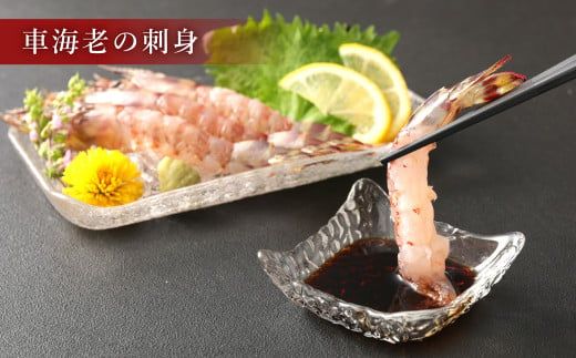 ｢極｣ 原点の車海老 ｢急速冷凍｣ 500g (12～14尾) 特大サイズ【2025年11月下旬より順次発送予定】