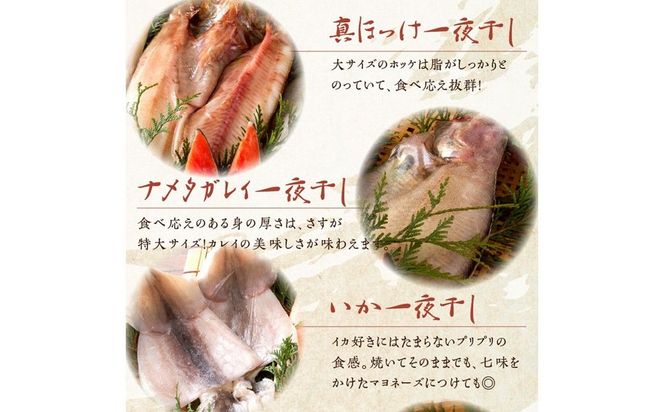 《14営業日以内に発送》船長自慢の海鮮セット ( 海鮮セット 海鮮 魚介類 ホッケ ナメタガレイ いか サーモン 鮭 時鮭 紅鮭 )【114-0065】