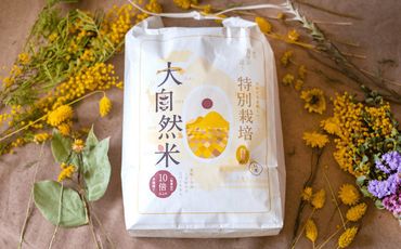 福岡県香春町産 夢つくし 大自然米 無洗米 計25kg（10kg×2個 5kg×1個）