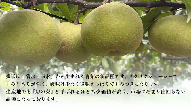 【 先行予約 】茨城県産 『幻の梨』 秀玉 約5kg 11玉～14玉( 茨城県共通返礼品 : 常陸太田市 )【 2025年 8月下旬頃より発送 】 フルーツ 果物 国産 日本産 梨 ナシ なし 和梨 期間限定 数量限定 [EN006us]