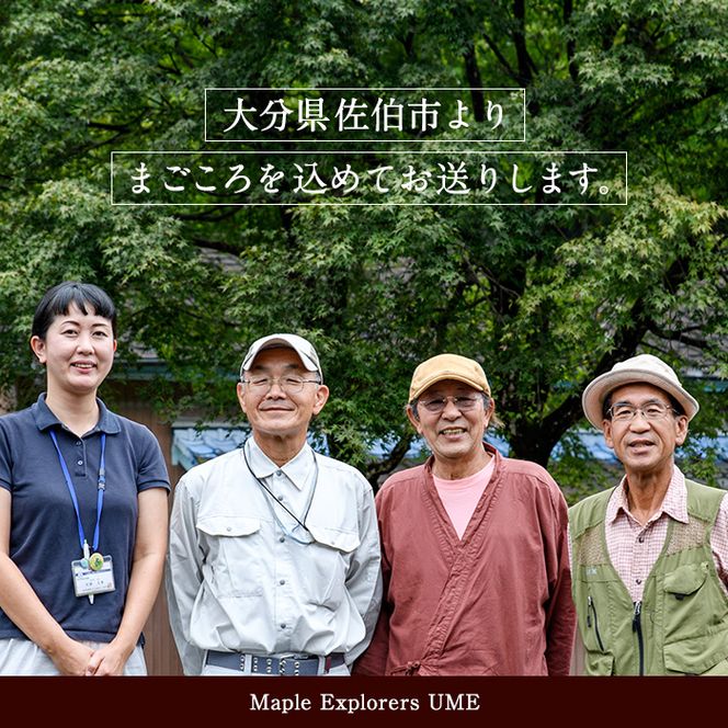 メープルシロップ サザンメイプル Southern Maple (70g×1個) 国産 大分県産 シロップ カエデ 樹液 調味料 大分県 佐伯市【EZ01】【maplexplorers】