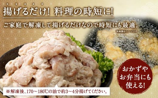 ＜塩唐揚げ セット 約1.5kg＞翌月末迄に順次出荷【c1290_na】 約300g×5パック 唐揚げ からあげ から揚げ 鶏のから揚げ 塩味 鶏肉