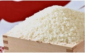 愛知県産 あいちのかおり10kg H017-099