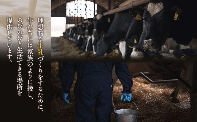 【贅沢セット】なかしべつ人気の焼き菓子13個とチーズケーキ２種類の贅沢セット 計935g【52005】